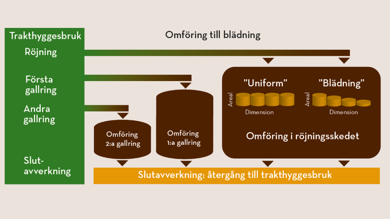 kostnaddiagram.png