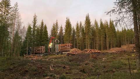 En bild på en skotare En bild på en skotare